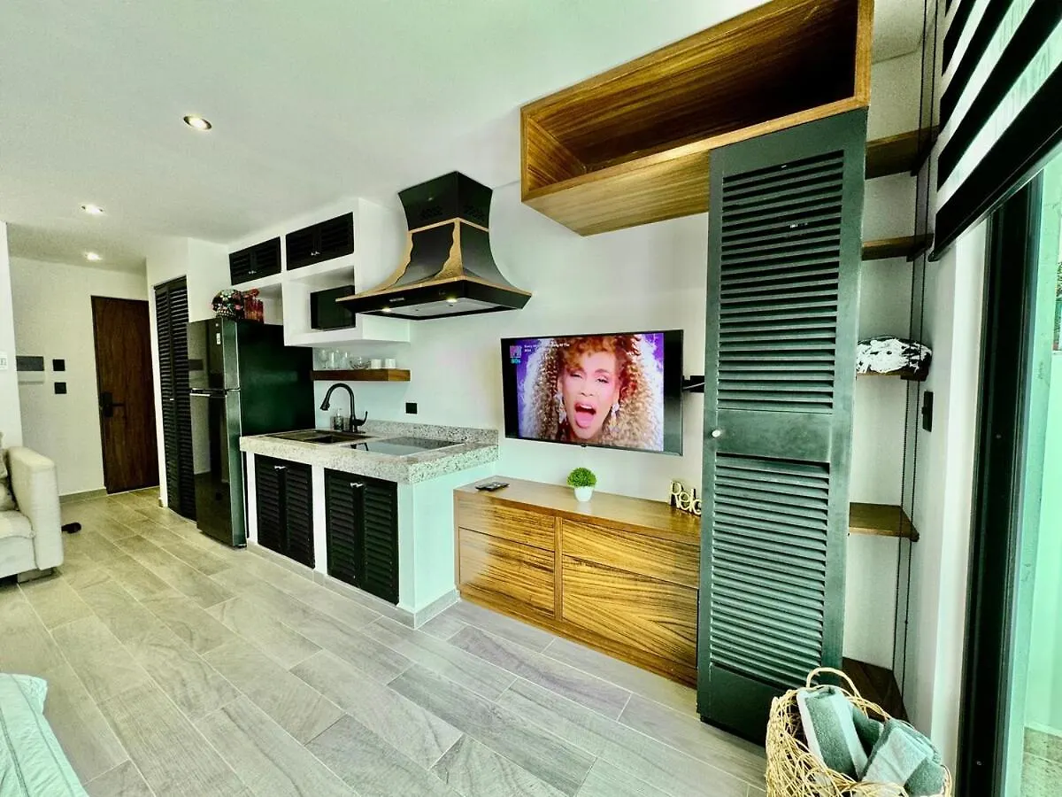 פלאייה דל כרמן New Apartment Steps From The Sea And 5Th Avenue!
